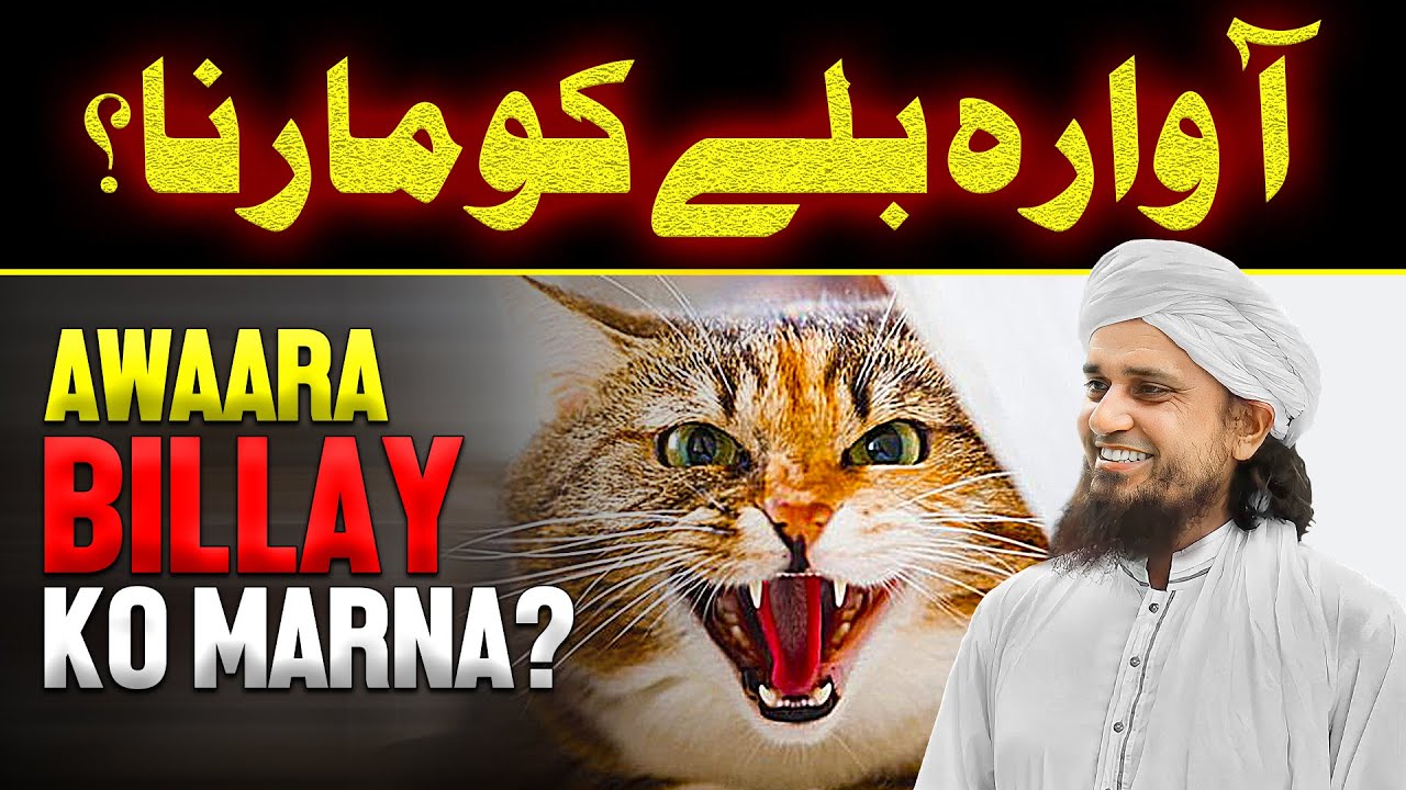 Awaara Billay Ko Marna? | Ask Mufti Tariq Masood
